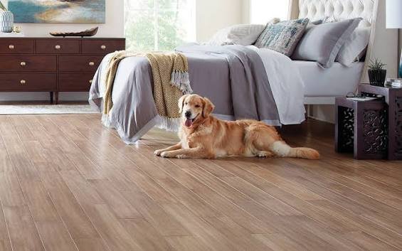 How to Choose the Right Flooring for Pets