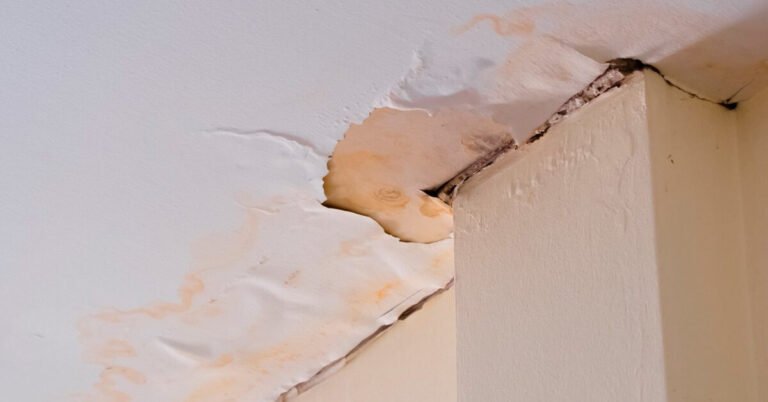 Hidden Water Leak Signs You Shouldn’t Ignore